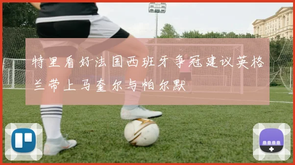 特里看好法国西班牙争冠建议英格兰带上马奎尔与帕尔默