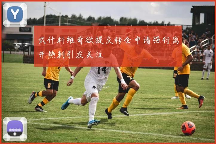 武什科维奇欲提交转会申请强行离开热刺引发关注